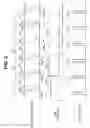 Fig. 04 - Image pickup system and light source apparatus
