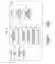 Fig. 08 - Electronic apparatus, system, storage control method, and storage medium