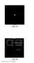 Fig. 11 - Image processing apparatus, image processing program, image processing method, microscopic system