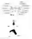 Fig. 05 - System and method for localizing a talker using audio and video information