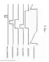 Fig. 12 - YCbCr pulsed illumination scheme in a light deficient environment