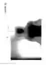 Fig. 07 - Method of converting 2D video to 3D video using machine learning