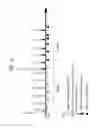 Fig. 03 - Apparatus and method for processing an interactive service
