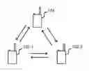 Fig. 01 - Hopping master in wireless conference