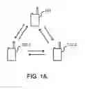 Fig. 02 - Hopping master in wireless conference