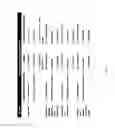 Fig. 08 - Quantified identity