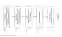 Fig. 08 - Handling of control interface failure in multicast transmissions via a cellular network