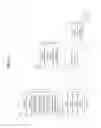 Fig. 04 - Method for handling of data transmission and reception for SeNB related bearer release at a user equipment in a dual connectivity system and device therefor