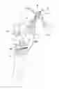 Fig. 01 - Apparatus, system and method for delivering treatment fluid to vegetation