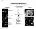 Fig. 06 - INTEGRATED PLANT BREEDING METHODS FOR COMPLEMENTARY PAIRINGS OF PLANTS AND MICROBIAL CONSORTIA