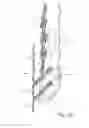 Fig. 07 - Arm device for a milking parlor arrangement for the automatic milking of milk-producing animals, divider for a milking parlor arrangement, and milking parlor arrangement