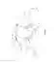 Fig. 02 - GARMENT FOR ANIMAL