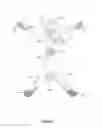 Fig. 03 - GARMENT FOR ANIMAL