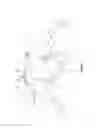 Fig. 07 - GARMENT FOR ANIMAL