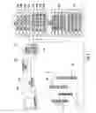 Fig. 08 - ALTERNATING ANGLE CONTROLLED WAVELENGTH LIGHTING SYSTEM TO STIMULATE FEEDING IN LARVAL FISH