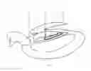 Fig. 06 - Waterfowl Decoy with Mechanical Movement