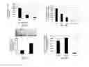 Fig. 03 - Methods for obtaining stem cells