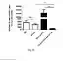 Fig. 04 - Methods for obtaining stem cells