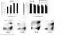 Fig. 09 - Methods for obtaining stem cells