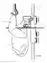 Fig. 05 - Device and method for removing abdominal fat from abdominal skin of a slaughtered bird suspended by the legs