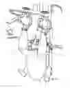 Fig. 07 - Device and method for removing abdominal fat from abdominal skin of a slaughtered bird suspended by the legs