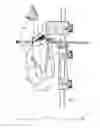 Fig. 09 - Device and method for removing abdominal fat from abdominal skin of a slaughtered bird suspended by the legs