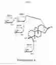 Fig. 02 - Stevia composition