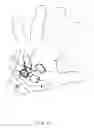 Fig. 06 - Poly Encased utility knuckle flashlight gloves