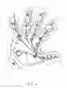 Fig. 07 - Poly Encased utility knuckle flashlight gloves