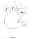 Fig. 09 - Poly Encased utility knuckle flashlight gloves