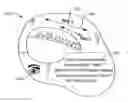 Fig. 01 - Makeup application assist device