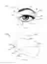 Fig. 02 - Makeup application assist device