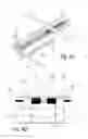 Fig. 06 - Sliding assembly