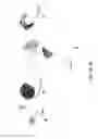 Fig. 78 - Emergency wash system with pulldown eyewash and sheeting showerhead