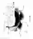 Fig. 84 - Emergency wash system with pulldown eyewash and sheeting showerhead