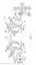 Fig. 02 - Endoscopic systems, devices, and methods for performing in vivo procedures