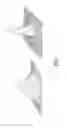 Fig. 02 - Optically adaptive endoscope