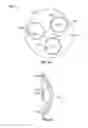 Fig. 02 - Position-sensing contact lenses