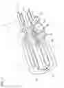 Fig. 08 - Airway adaptor and respiratory flow rate sensor