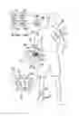 Fig. 01 - Motion recognition device and method