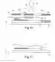 Fig. 05 - Biosensor for sensing analytes in the sweat, and manufacturing method thereof