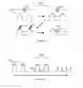 Fig. 12 - ON-BODY MICROSENSOR FOR BIOMONITORING
