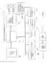 Fig. 10 - SYSTEM FOR ANALYZING AND TREATING ABNORMALITY OF HUMAN AND ANIMAL TISSUES