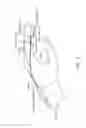 Fig. 09 - Wearable physiologic sensing apparatus