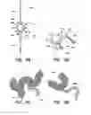 Fig. 10 - CATHETER BALLOON METHODS AND APPARATUS EMPLOYING SENSING ELEMENTS
