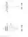 Fig. 18 - CATHETER BALLOON METHODS AND APPARATUS EMPLOYING SENSING ELEMENTS