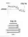 Fig. 13 - Tomographic image generation device, method and recording medium