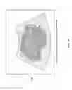 Fig. 03 - Detecting amniotic fluid position based on shear wave propagation