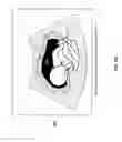 Fig. 04 - Detecting amniotic fluid position based on shear wave propagation