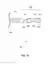 Fig. 16 - SYSTEM AND CATHETER FOR IMAGE GUIDANCE AND METHODS THEREOF